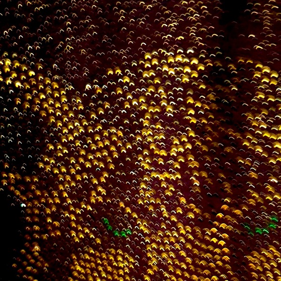 Women’s top. Golden Sheen / Shine in fabric. Tiger (crystal) - Picture 3 of 6